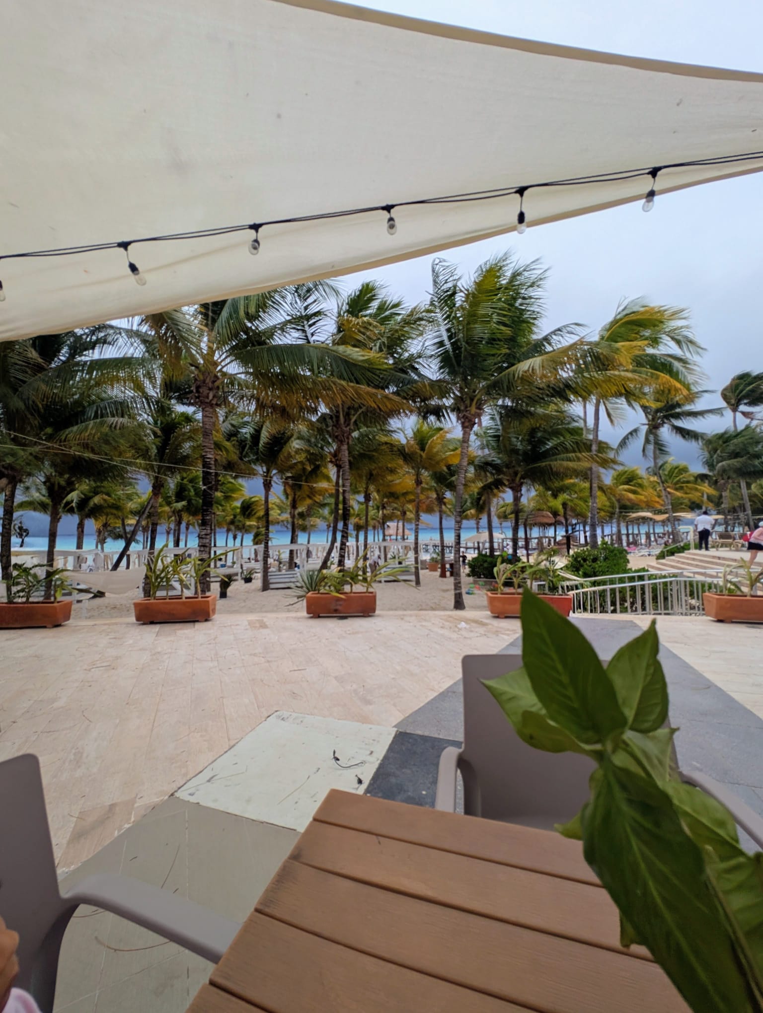 beachfront ceremony in mexico
