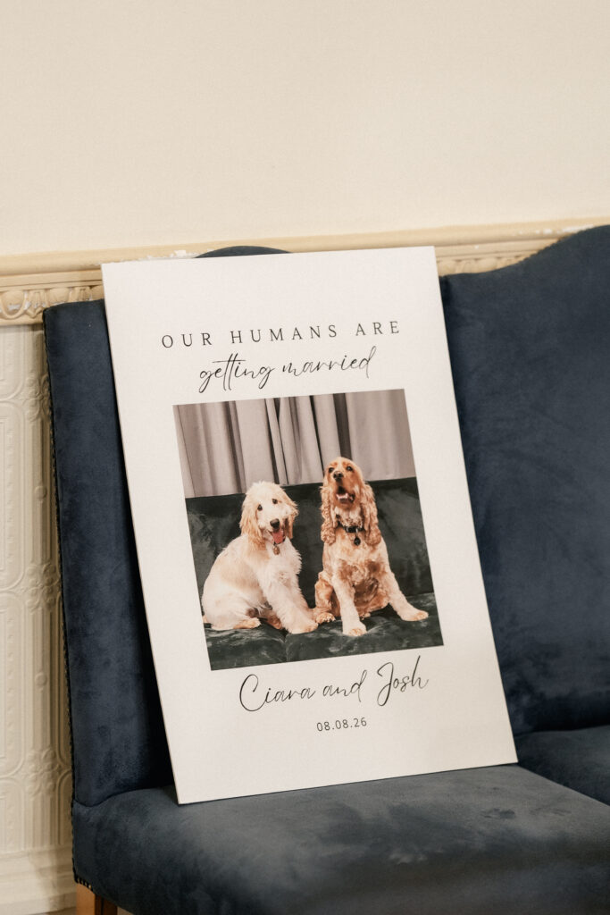 Wedding Dogs